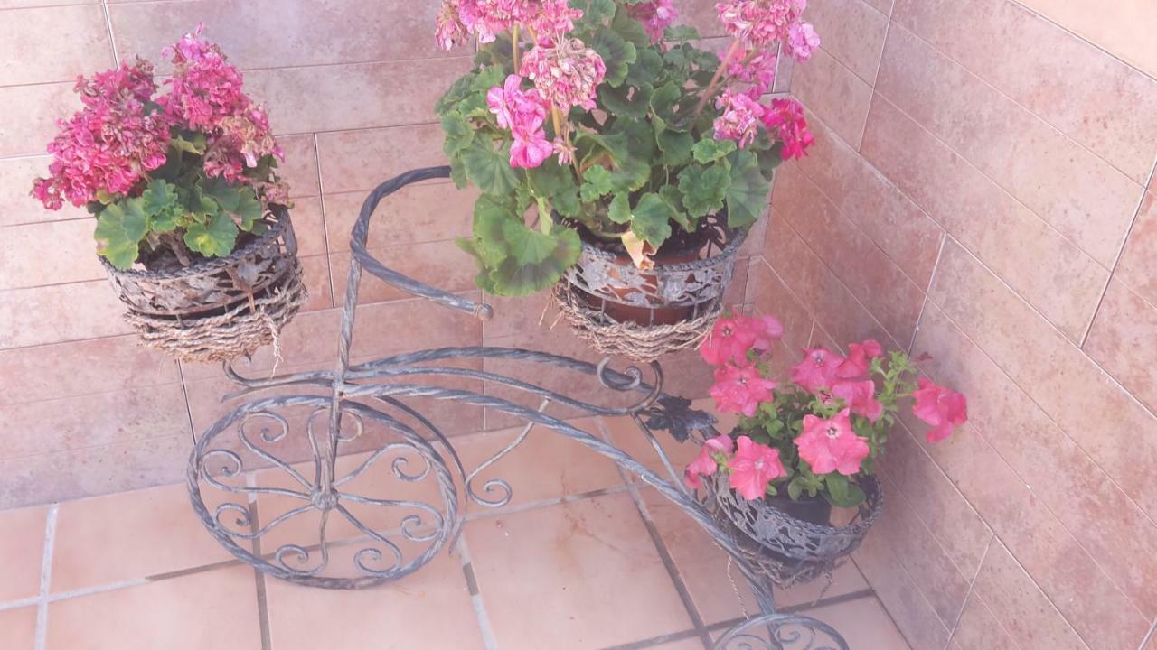 Bravo 24 Διαμέρισμα Fuengirola Εξωτερικό φωτογραφία